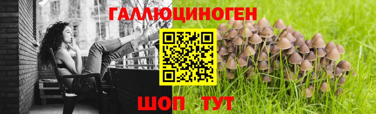 купить наркоту  Вход с VPN  Новомосковск  Псилоцибиновые грибы Cubensis  Псилоцибиновые грибы Psilocybe 